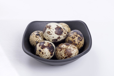 营养丰富的鹌鹑蛋