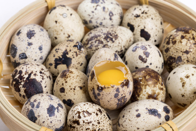 营养丰富的鹌鹑蛋
