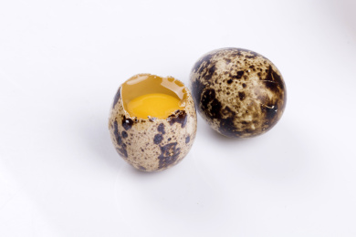 营养丰富的鹌鹑蛋