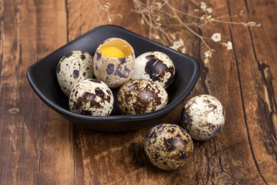 营养丰富的鹌鹑蛋