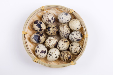 营养丰富的鹌鹑蛋