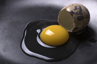 营养丰富的鹌鹑蛋