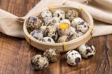 营养丰富的鹌鹑蛋