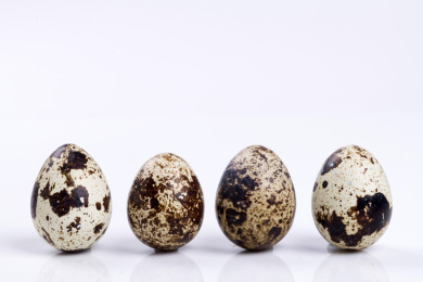 营养丰富的鹌鹑蛋