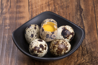 营养丰富的鹌鹑蛋