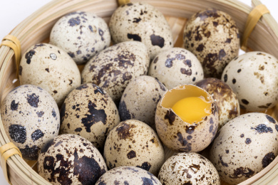 营养丰富的鹌鹑蛋