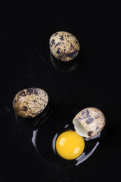 营养丰富的鹌鹑蛋