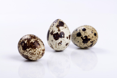 营养丰富的鹌鹑蛋