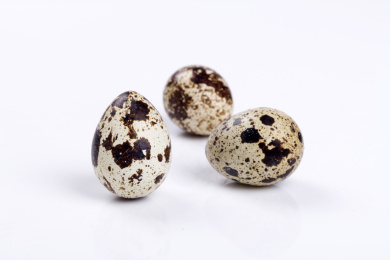 营养丰富的鹌鹑蛋