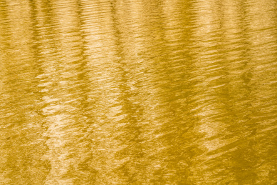 金黄色的水波纹 水波纹