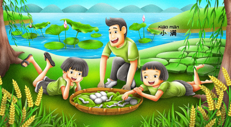 二十四节气之小满插画