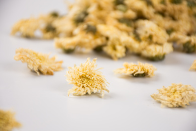 清热解毒的茶饮菊花茶