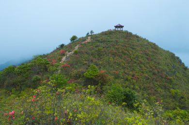 福建连城金龙山风景