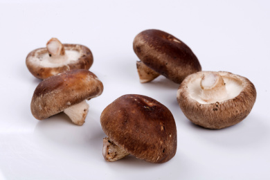 营养丰富的香菇