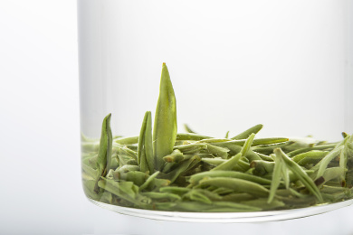明前特级单芽信阳毛尖玻璃杯冲泡