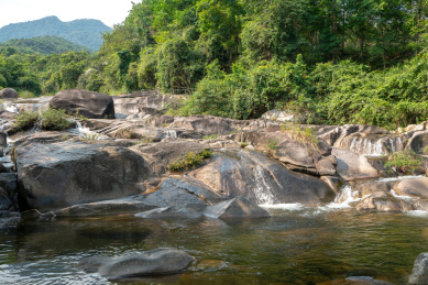 海南白马岭热带雨林自然保护区