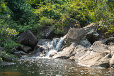 海南白马岭热带雨林自然保护区