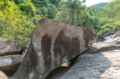 海南白马岭热带雨林自然保护区