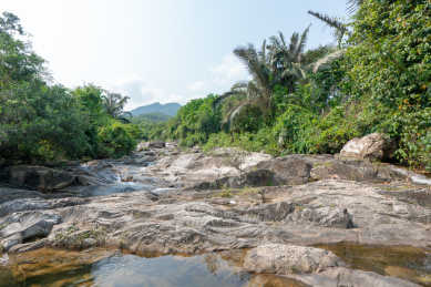 海南白马岭热带雨林自然保护区