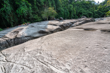 海南白马岭热带雨林自然保护区