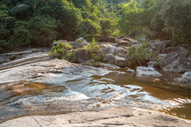 海南白马岭热带雨林自然保护区