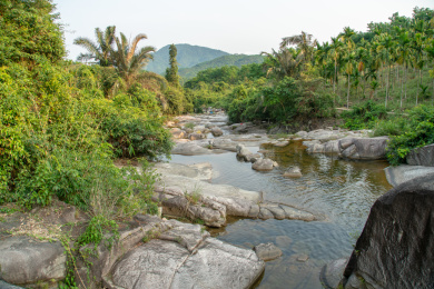 海南白马岭热带雨林自然保护区