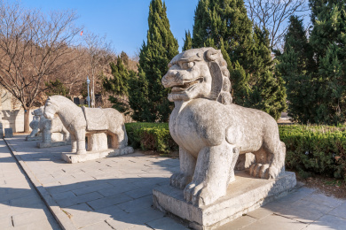 山东省东阿县鱼山镇曹植墓石狮石马雕塑