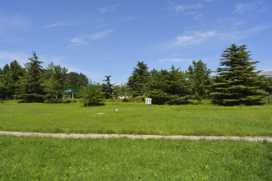 城市公园绿草蓝天美景