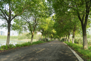 南昌艾溪湖湿地公园跑道