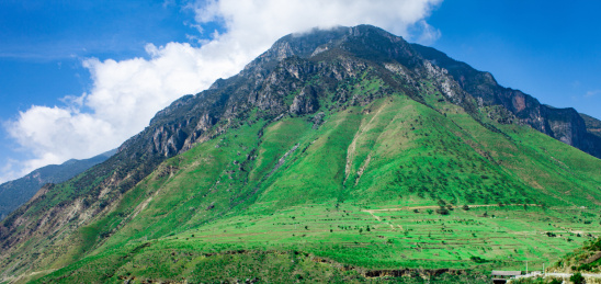 Beautiful alpine meadow in Yunnan, China