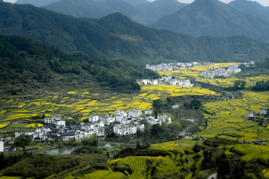 婺源油菜花田中的村落