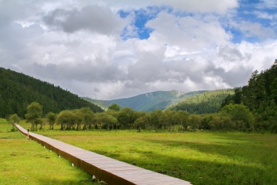 云南中甸香格里拉的碧塔海的草甸,湿地和栈道