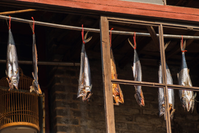 在户外晾晒的美味咸鲅鱼
