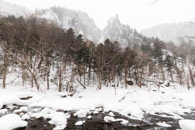 日本北海道大雪山国家公园