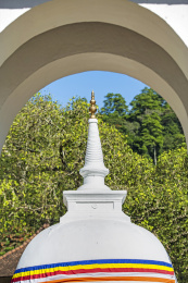 斯里兰卡佛牙寺白塔