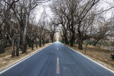 户外森林道路