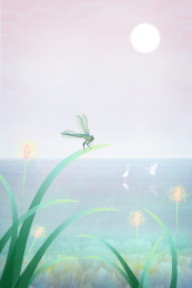 炎热夏天蜻蜓在池塘飞，花草风中摇摆插画背景海报