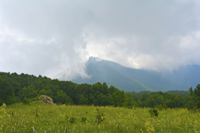中国北京百花山高山草甸上的花及积云遮挡下的远山