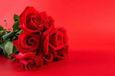 美丽浪漫的红玫瑰海报背景素材