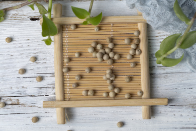 中药静物白胡椒特写