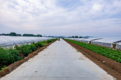 中国北方农村的田间公路