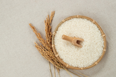 桌子上摆放的大米和稻穗