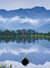中国湖北神龙架大九湖湿地