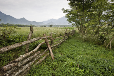 中国湖北神龙架大九湖湿地
