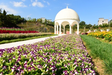 湖北恩施州女儿城花海长廊