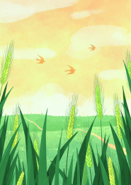 景物节气插画小满竖版