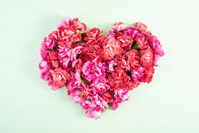 母亲节康乃馨鲜花心形海报背景素材