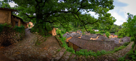 丽水市松阳县古村落杨家堂村
