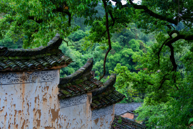 丽水市松阳县古村落杨家堂村自然景观