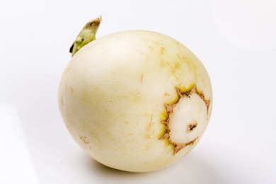 甘甜可口,富含维生素的夏季水果景甜甜瓜